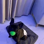 Modrzewiowa Zator شقة فندقية 3*