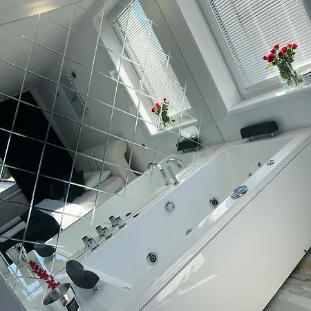 公寓式酒店 Modrzewiowa Zator 3*